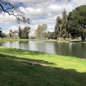 Meet your Posher, Shelly